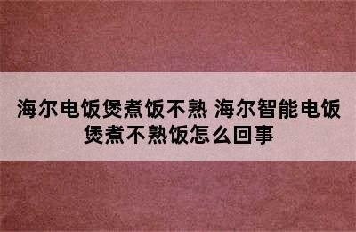 海尔电饭煲煮饭不熟 海尔智能电饭煲煮不熟饭怎么回事